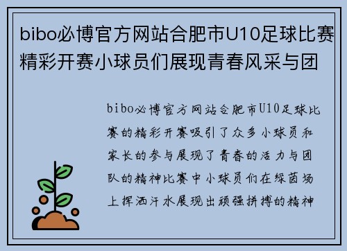 bibo必博官方网站合肥市U10足球比赛精彩开赛小球员们展现青春风采与团队精神
