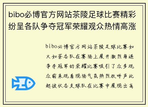 bibo必博官方网站茶陵足球比赛精彩纷呈各队争夺冠军荣耀观众热情高涨